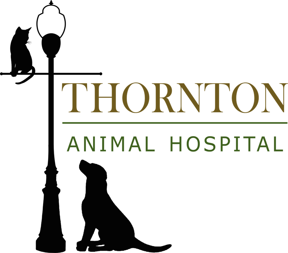 Thornton Animal Hospital